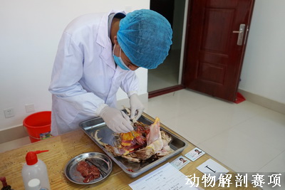 http://old.jqgmzz.cn/UploadFiles/xydt/2019/10/201910201352542113.jpg