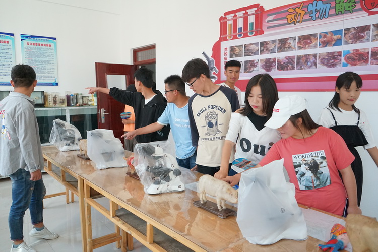 http://old.jqgmzz.cn/UploadFiles/xydt/2019/7/201907011119480713.JPG