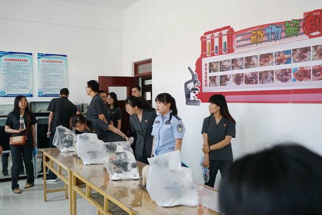 http://old.jqgmzz.cn/UploadFiles/xydt/2019/6/201906301035455067.JPG