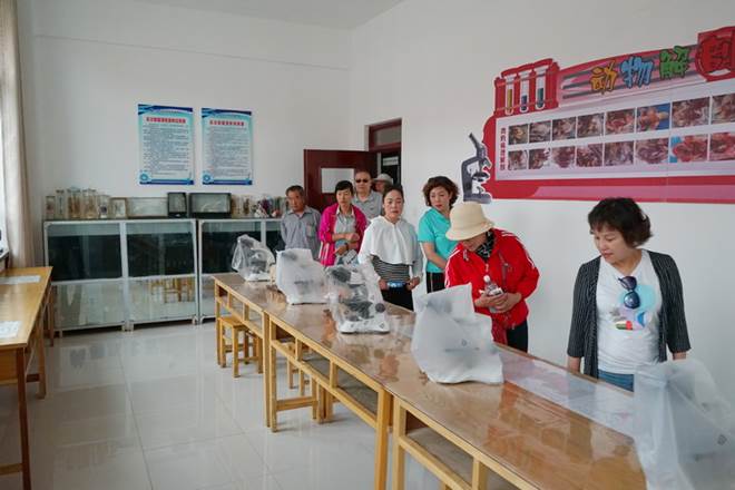 http://old.jqgmzz.cn/UploadFiles/xydt/2019/6/201906181100184984.jpg