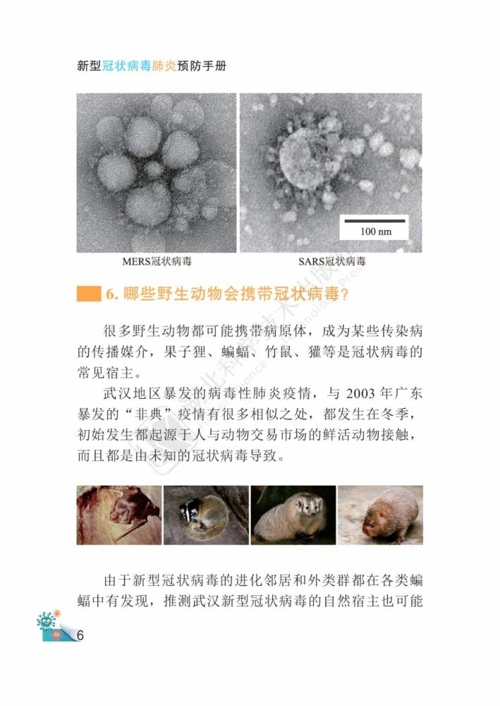 1000.webp (7).jpg